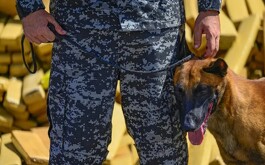 Un perro rastreador detectó el escondite bajo un tanque de agua durante un operativo.