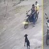 motociclista armado ataca a perrito en El Salto