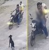 motociclista armado ataca a perrito en El Salto