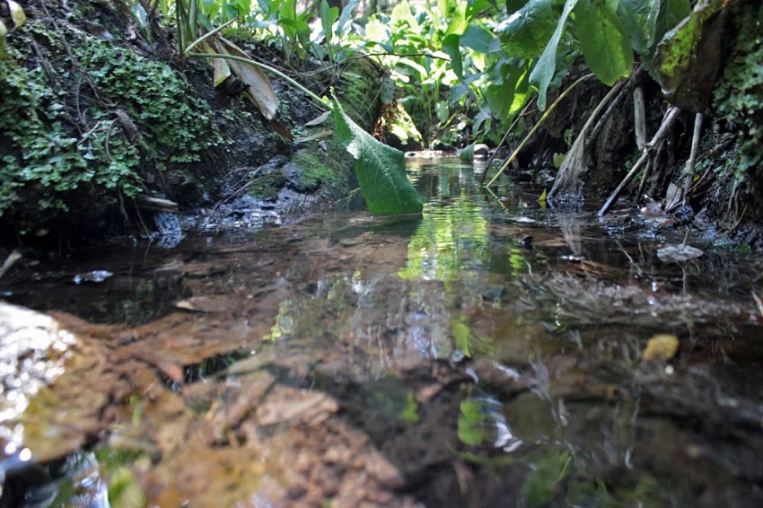 Río con agua cristalina iluminado por los rayos del sol.