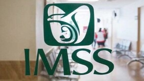 Logo del IMSS en color verde