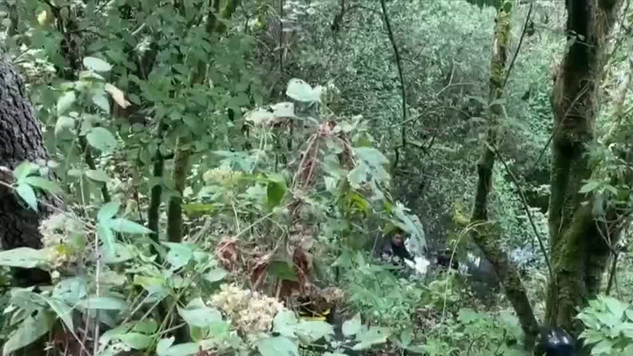 Programa conducido por Norma García, jueves 09 de abril 2026.