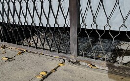 Vivienda que se incendio en la colonia Hamburgo y dejó a una persona intoxicada.