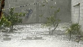Granizo cayendo sobre plantas verdes al interior de una vivienda.