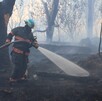Un incendio forestal en el bosque El Centinela en Zapopan dejó afectaciones en al menos tres hectareas. Bomberos lograron apagar el fuego