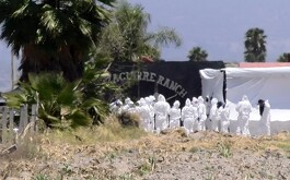 Especialistas en Izaguirre