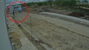 Cámaras de vigilancia captan robo a domicilio