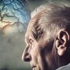 Deterioro cognitivo del Alzheimer