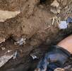 Fosa y restos