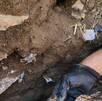Fosa y restos