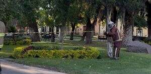 Atención a las abejas en Durango