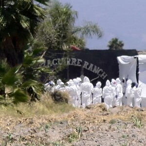 Especialistas en Izaguirre