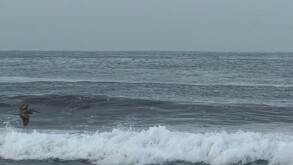 Playa de Mazatlán, Sinaloa