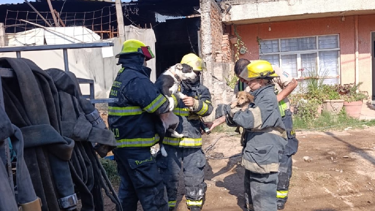 Bomberos trabajan para sofocar el incendio en una vivienda de la colonia Santa Paula, en Tonalá.