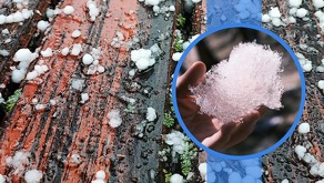 San Luis de la Paz y San José Iturbide fueron testigos de una fuerte lluvia acompañada de granizo del tamaño de un limón.