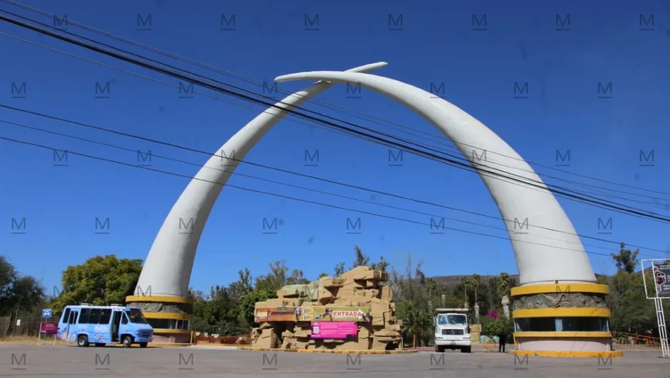 El cementerio silencioso del Zoológico de León: cientos de animales ‘desaparecen’ del registro