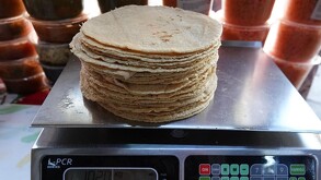 México es autosuficiente en la producción de este grano para consumo humano.