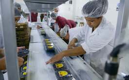 El Instituto Mexicano de Ejecutivos de Finanzas Capítulo Monterrey advirtieron que eliminar el régimen fiscal especial dañará a Pymes y personas físicas.