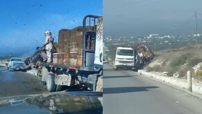 Volcadura de camión de abejas en Doctor Arroyo, Nuevo León.