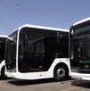 autobuses nuevos