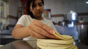 Tortillerias en Torreón