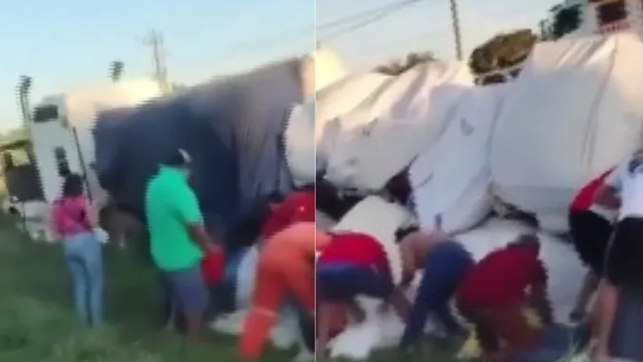 Un grupo de personas fue captado robando costales de azúcar de un camión que volcó en la carretera Villahermosa-Cárdenas, en Tabasco.