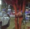 Video de la policía atendiendo el reporte.