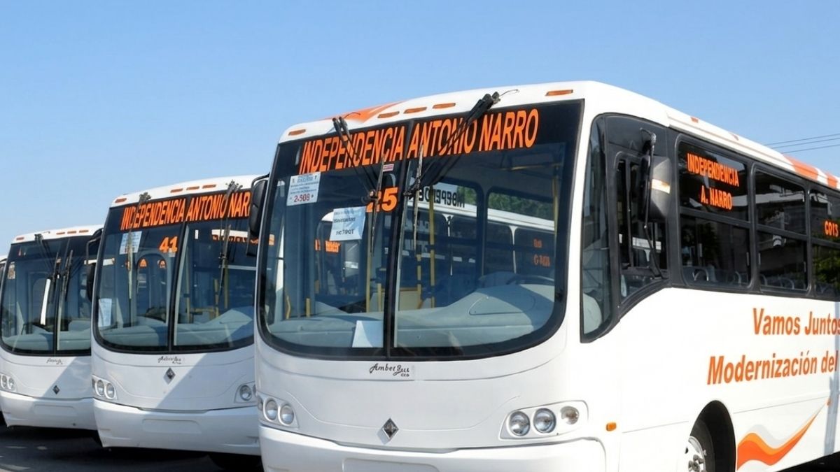 Camiones panorámicos en Torreón