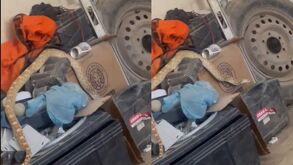 Víbora captada en video en Torreón