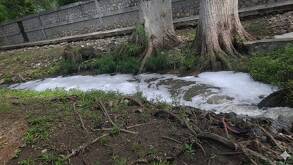 La dependencia federal concluyó que dará seguimiento a estas acciones