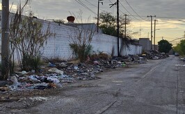Basura acumulada en colonia de Torreón.