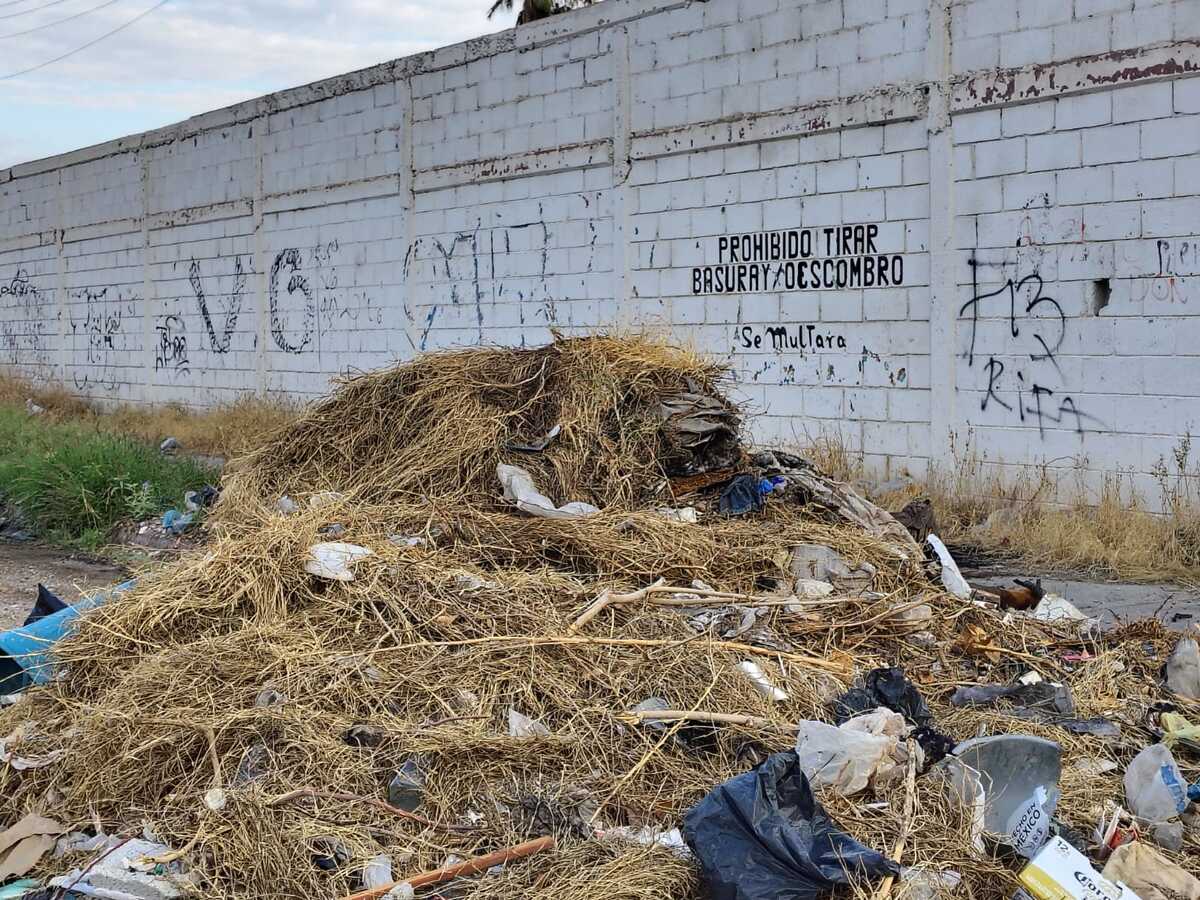 Acumulación de desperdicios en La Laguna.