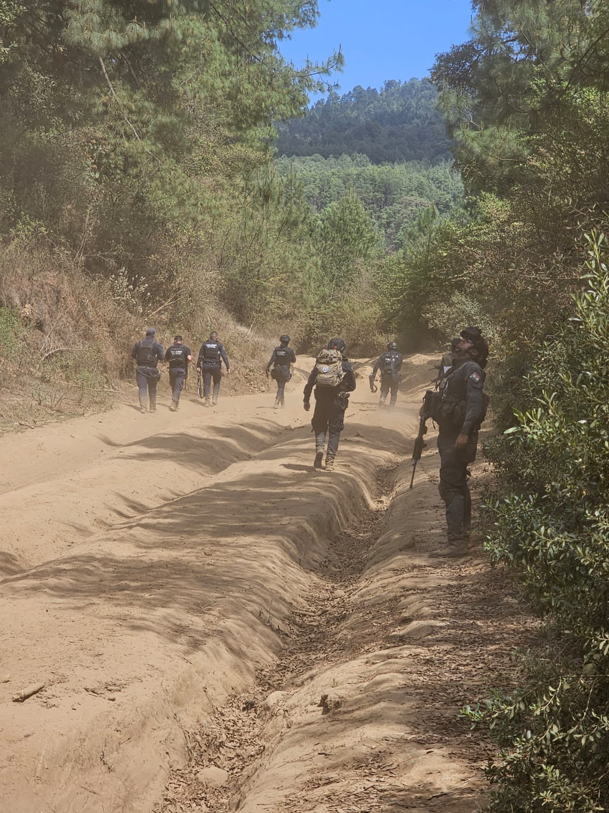 Elementos de la policía en Michoacán
