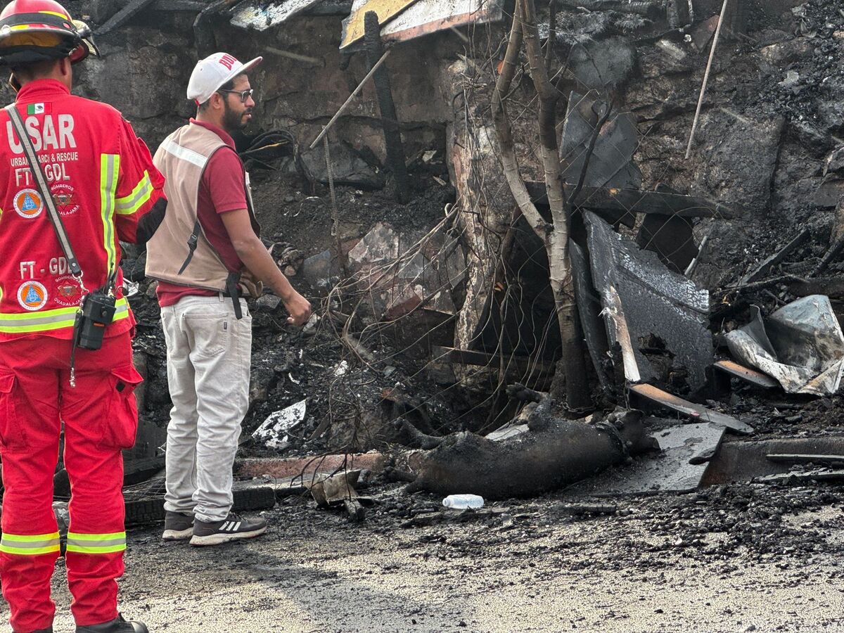 Cuerpo de perro calcinado
