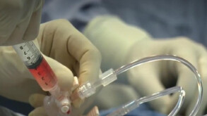 La hemofilia es una enfermedad hereditaria que afecta a cerca de 6,200 personas en México.