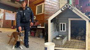 Perrita Chalco rescatada en el Palacio Municipal de Valle de Chalco