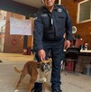 Perrita Chalco rescatada en el Palacio Municipal de Valle de Chalco
