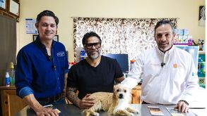 Gusano barrenador en mascotas en Nuevo León