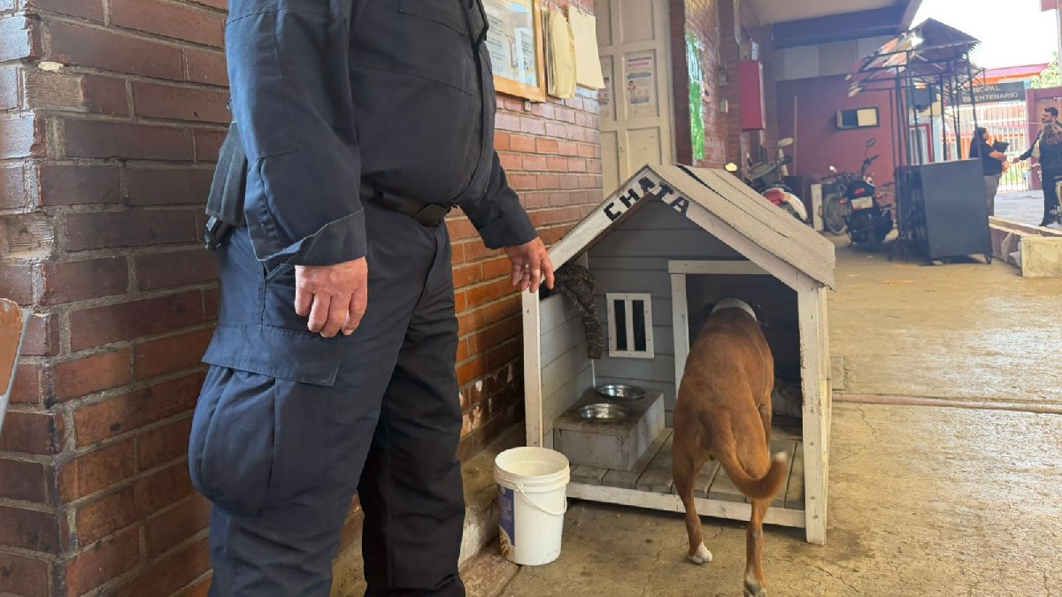 Casa de perro callejero en Palacio Municipal de Valle de Chalco