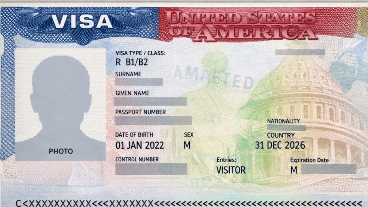 Estas acciones forman parte de un esfuerzo integral para erradicar a las organizaciones que operan como 