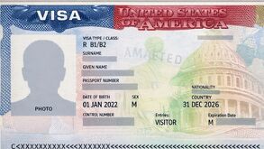 Estas acciones forman parte de un esfuerzo integral para erradicar a las organizaciones que operan como 