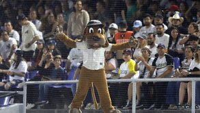 Perro Sultán en la tribuna de Sultanes de Monterrey