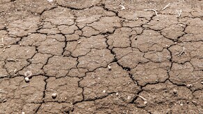 León Guanajuato crece de manera rápida y desorganizadamente lo que provoca la desaparición de áreas verdes en la ciudad y una crisis de agua potable.