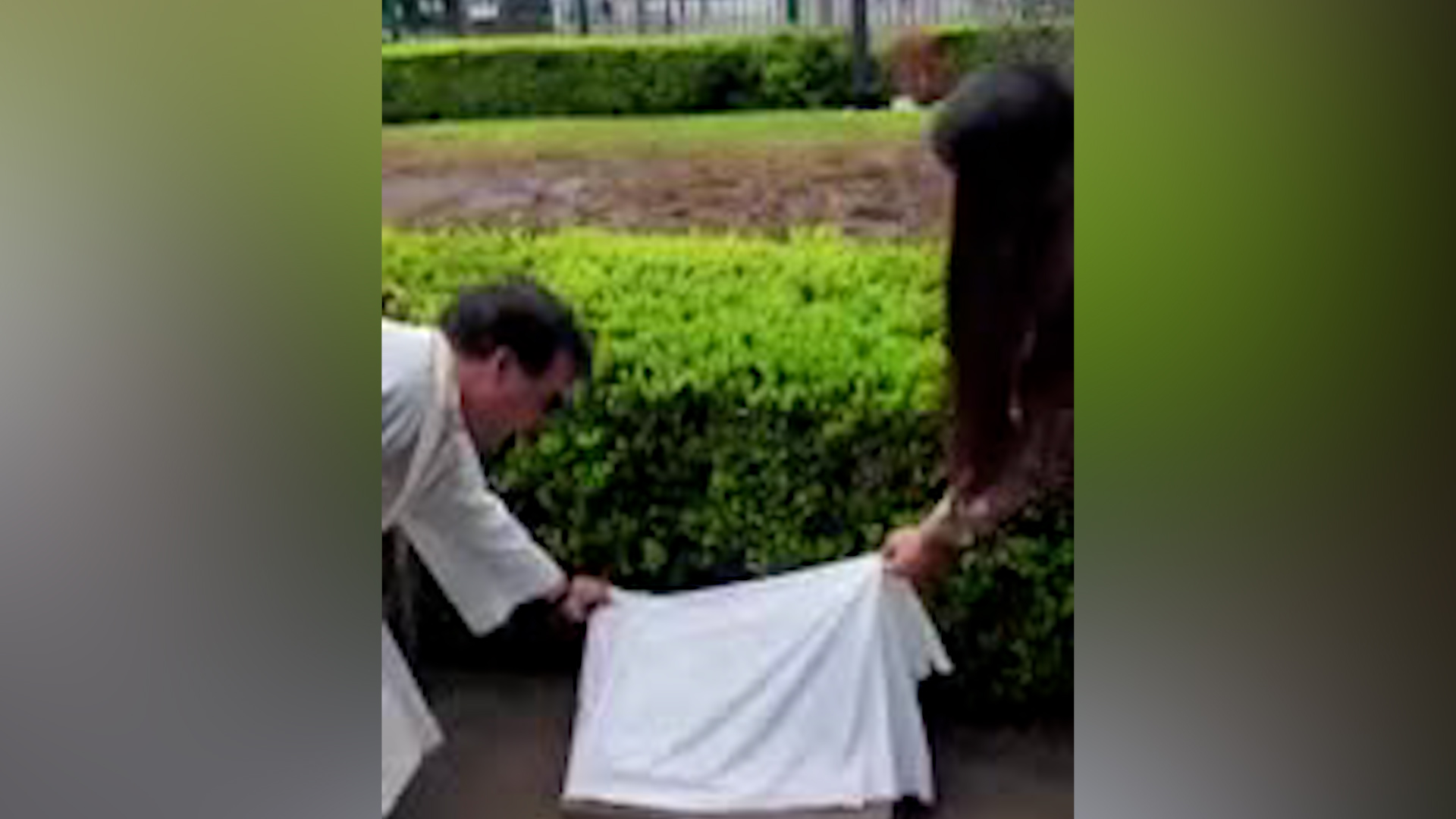 Diversas publicaciones y ceremonias en Roma acompañan este aniversario, destacando la estrecha relación y la visión compartida entre ambos líderes religiosos.