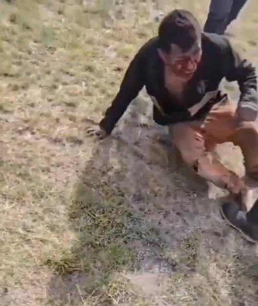 Hombre con el rostro sangrando levantándose del pasto.