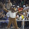Perro Sultán en la tribuna de Sultanes de Monterrey