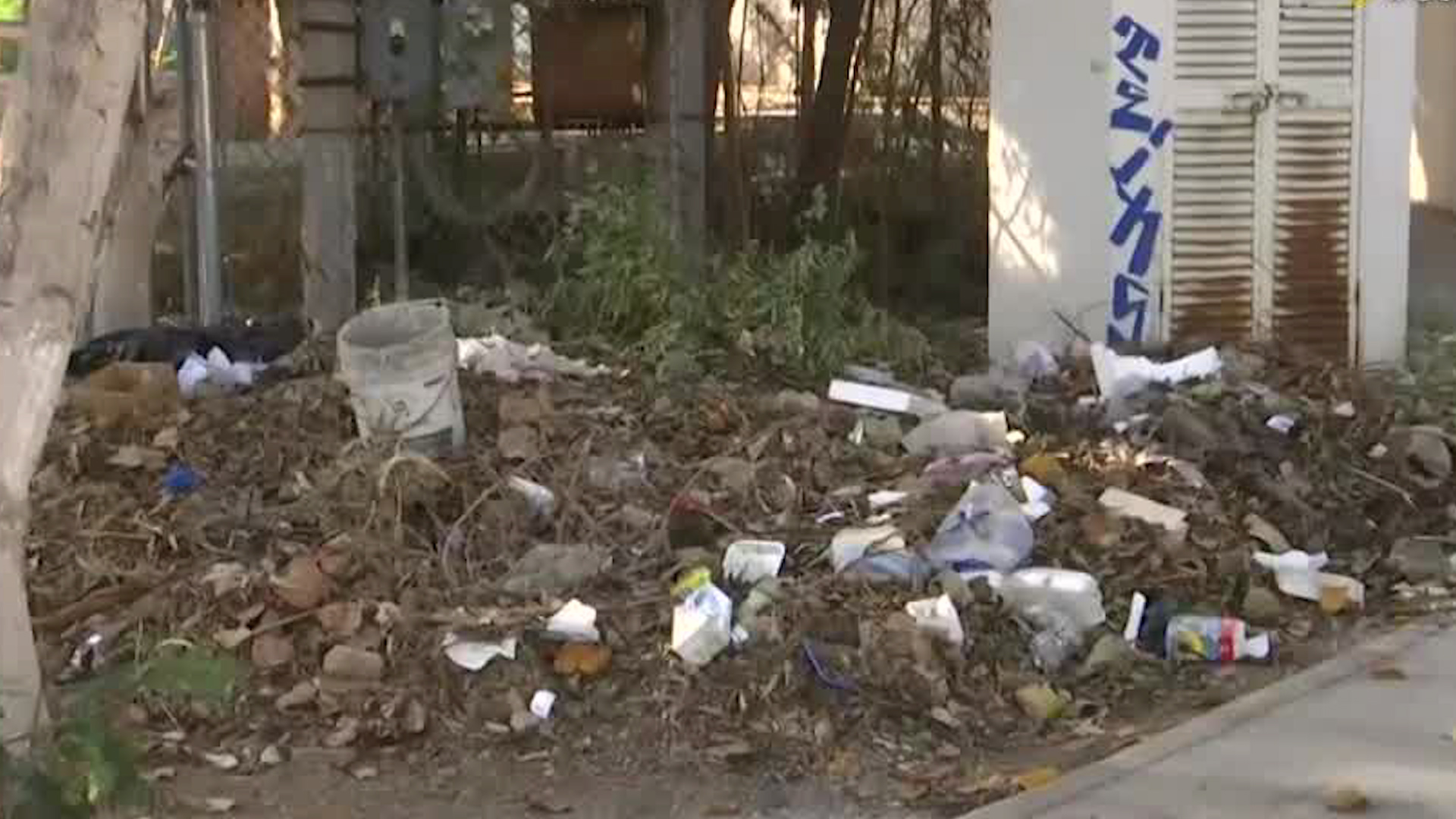 Los vecinos han solicitado la intervención de las autoridades municipales para la limpieza del área y un refuerzo en la vigilancia.