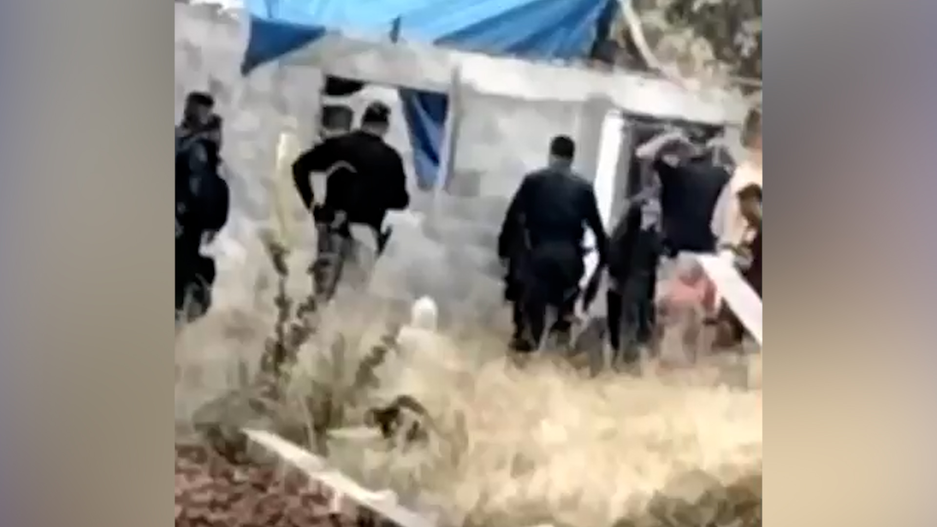 Horror en Tlalpan: Encuentran 51 perros muertos por inanición en San Miguel Topilejo. Vecinos denuncian desapariciones masivas de mascotas en la zona.