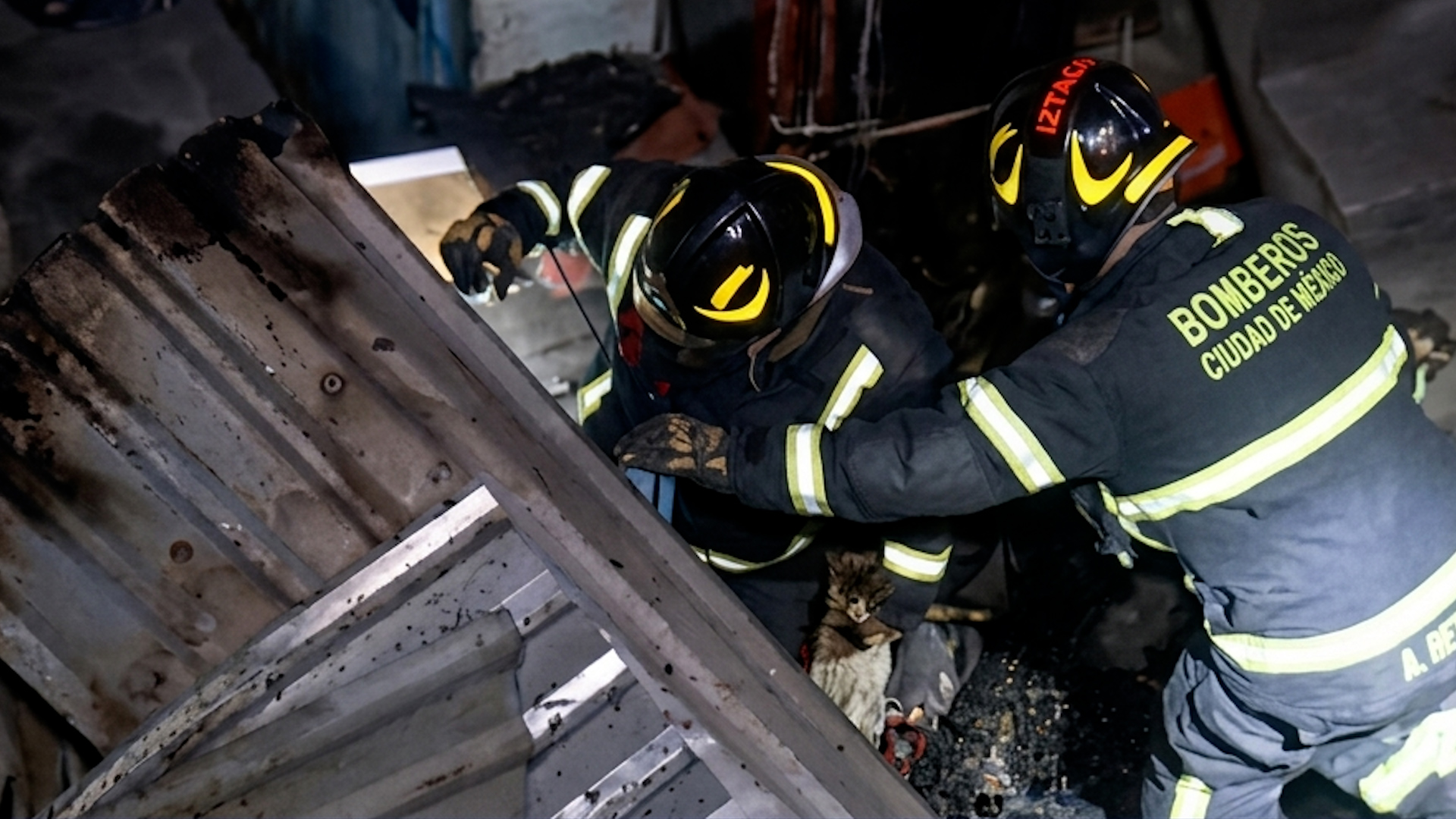 Los hechos ocurrieron en la colonia Arenal Cuarta Sección. Heroico cuerpo de Bomberos, en conjunto con vecinos y policía del sector, sofocaron el incendio.