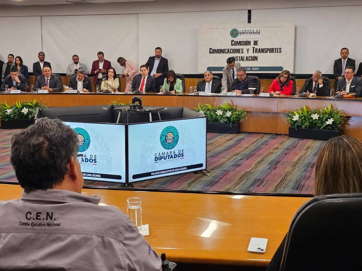 Rafael Ortiz Pacheco Cámara de Diputados